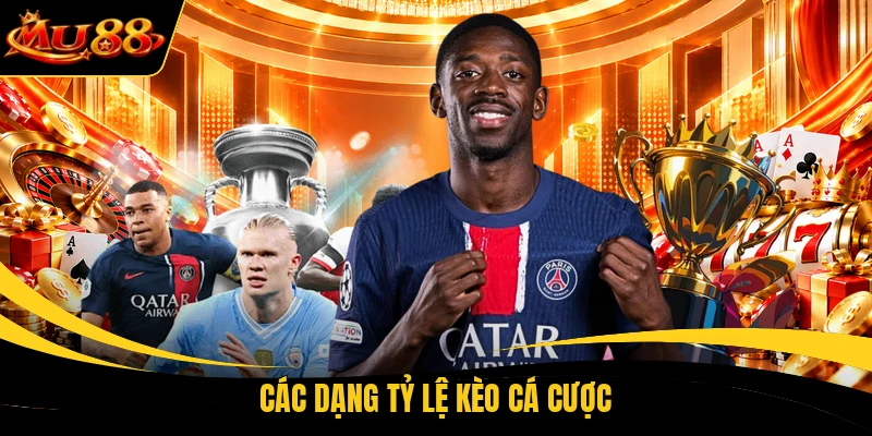 cac dang ty le keo ca cuoc Các dạng tỷ lệ kèo cá cược