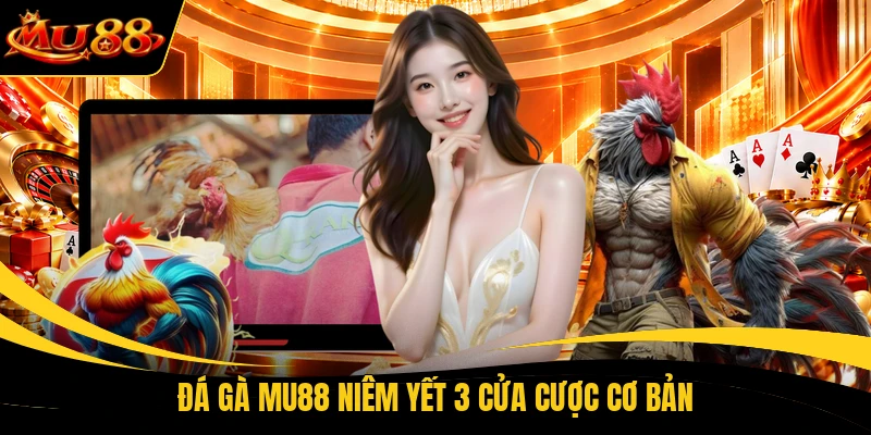 da ga mu88 niem yet 3 cua cuoc co ban Đá gà MU88 niêm yết 3 cửa cược cơ bản