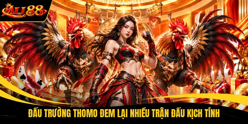 dau truong thomo dem lai nhieu tran dau kich tinh Đấu trường Thomo đem lại nhiều trận đấu kịch tính