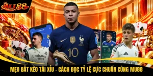meo bat keo tai xiu cach doc ty le cuc chuan cung mu88